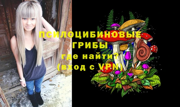 меф Инта