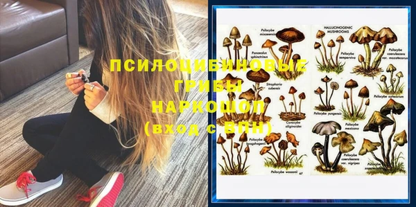 меф Инта