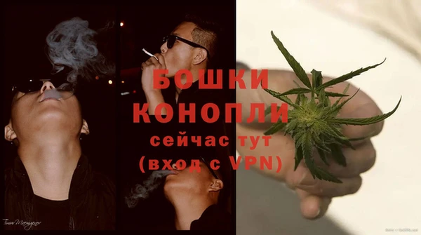 меф Инта
