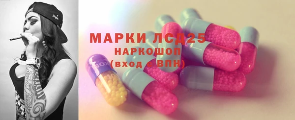молекула духа Щёлкино