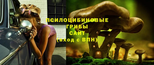 а пвп мука Инсар